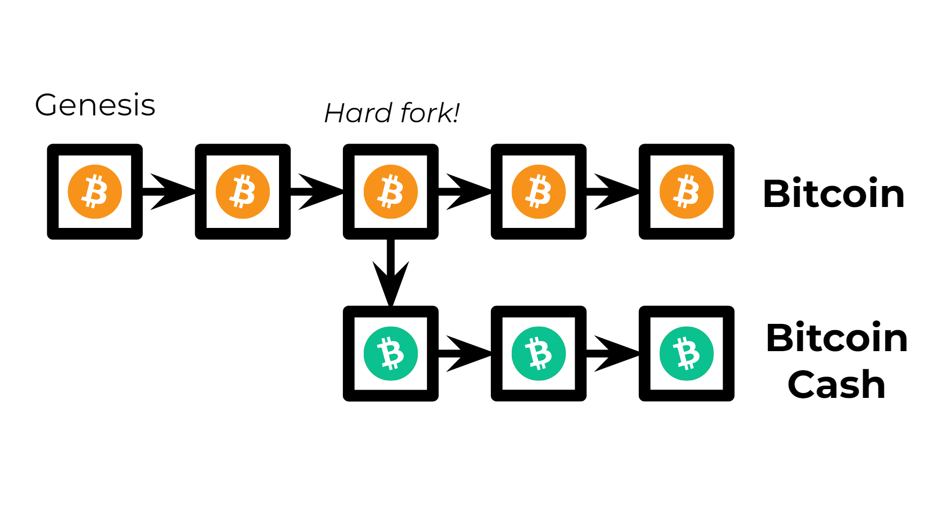 (Figure 5) Bitcoin Cash. A hard fork of Bitcoin.